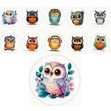 Owl Stickers - Assorted - Roll of 50's